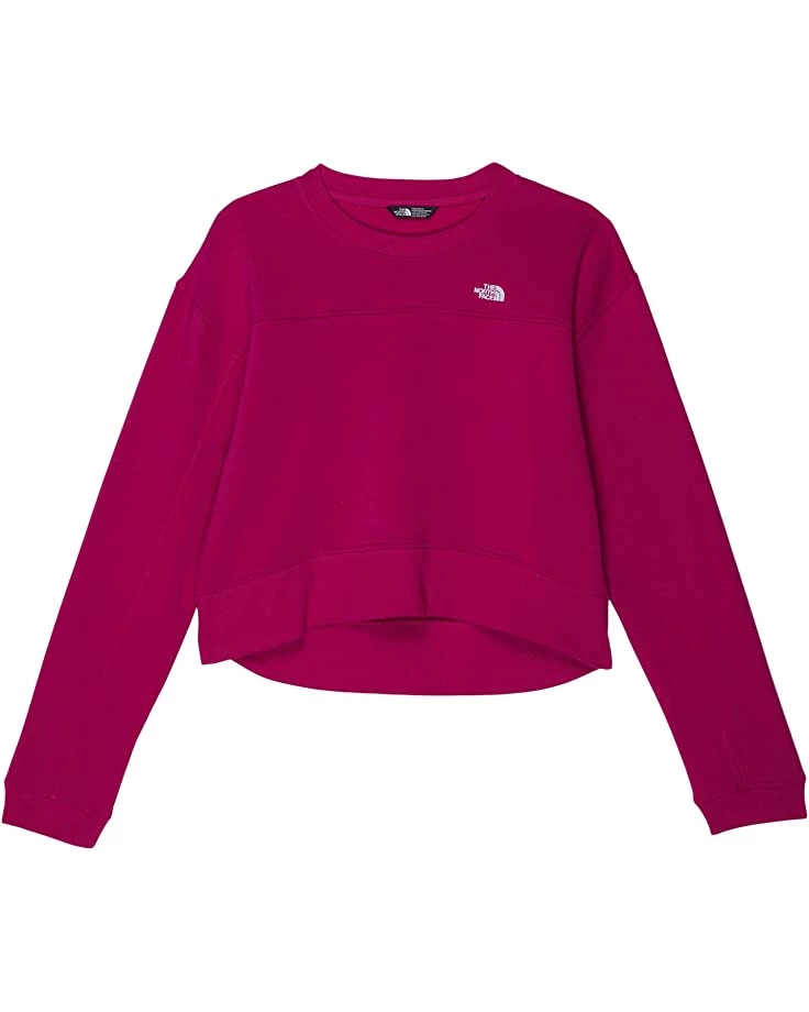 The North Face Kids Hoodies & Sweatshirts Camp Fleece Crew (Little Kids/Big Kids) 3 The North Face Kids Hoodies & Sweatshirts Camp Fleece Crew (Little Kids/Big Kids)