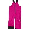 The North Face Kids Outerwear Pants and Sets Freedom Insulated Bib (Toddler) -The North Face shop 614IuU29oLL. AC SR736920