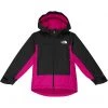 The North Face Kids Coats & Outerwear Freedom Insulated Jacket (Little Kids/Big Kids) 1 The North Face Kids Coats & Outerwear Freedom Insulated Jacket (Little Kids/Big Kids) -The North Face shop 61cxeTwHJlL. AC SR736920
