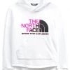 The North Face Kids Hoodies & Sweatshirts Camp Fleece Pullover Hoodie (Little Kids/Big Kids) -The North Face shop 61x6720I41L. AC SR736920