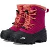 The North Face Kids Boots Alpenglow V Waterproof (Toddler/Little Kid/Big Kid) -The North Face shop 719CWeCMMcL. AC SR736920