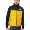 The North Face Coats & Outerwear 1996 Retro Nuptse Vest -The North Face shop 811ZW7m4F5L. AC SR736920