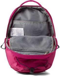 The North Face Backpacks Borealis Mini Backpack -The North Face shop 81FFAf8mCDL. AC SR736920