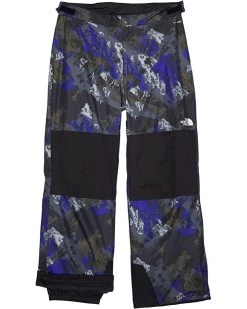 The North Face Kids Outerwear Pants and Sets Freedom Insulated Pants (Little Kids/Big Kids) -The North Face shop 81Ggc8KQsL. AC SR736920