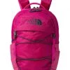 The North Face Backpacks Borealis Mini Backpack