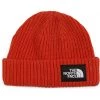 The North Face Kids Hats Salty Dog Beanie (Little Kids/Big Kids) -The North Face shop 81zjdJ8U7KL. AC SR736920